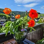 Panoramablick Schwalefeld