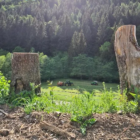 Panoramablick Schwalefeld * Willingen (Upland)