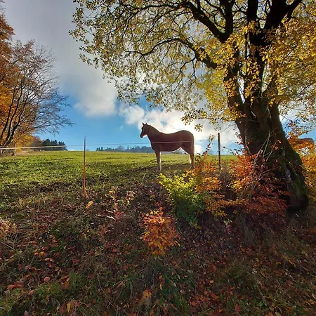 Panoramablick Schwalefeld וילינגן