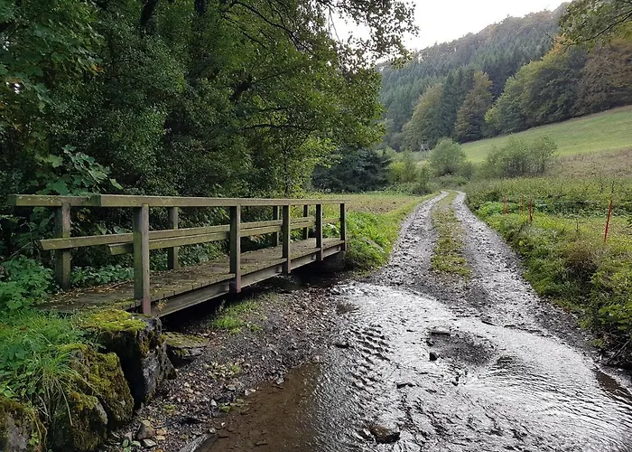 Panoramablick Schwalefeld 아파트 빌링겐