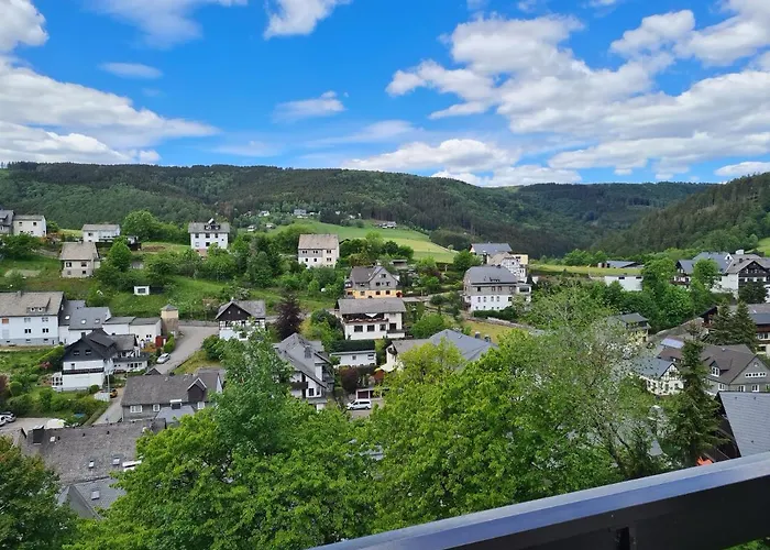 Panoramablick Schwalefeld 빌링겐