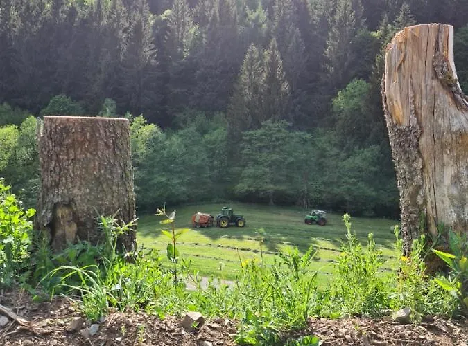 Panoramablick Schwalefeld * 빌링겐