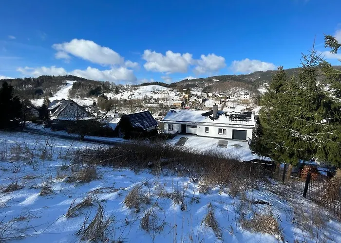 Panoramablick Schwalefeld 빌링겐