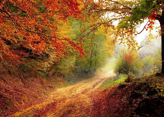 Panoramablick Schwalefeld דירה וילינגן